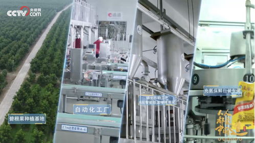 央視點贊洽洽透明工廠，數字技術賦能堅果冠軍的硬核實力
